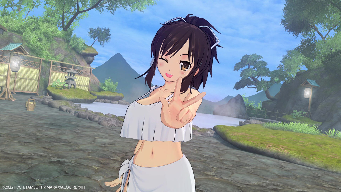 Neptunia x SENRAN KAGURA: Ninja Wars (PC) - Steam Gift - NORTH AMERICA   - Idea Factory [Email/Instant Delivery]