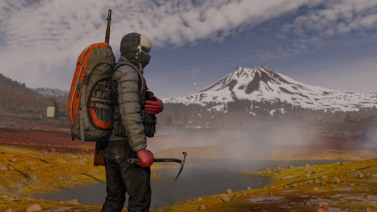 DayZ Cool Edition PC Steam CD Key  REGION FREE Bohemia Interactive a.s. - [Email/Instant Delivery]