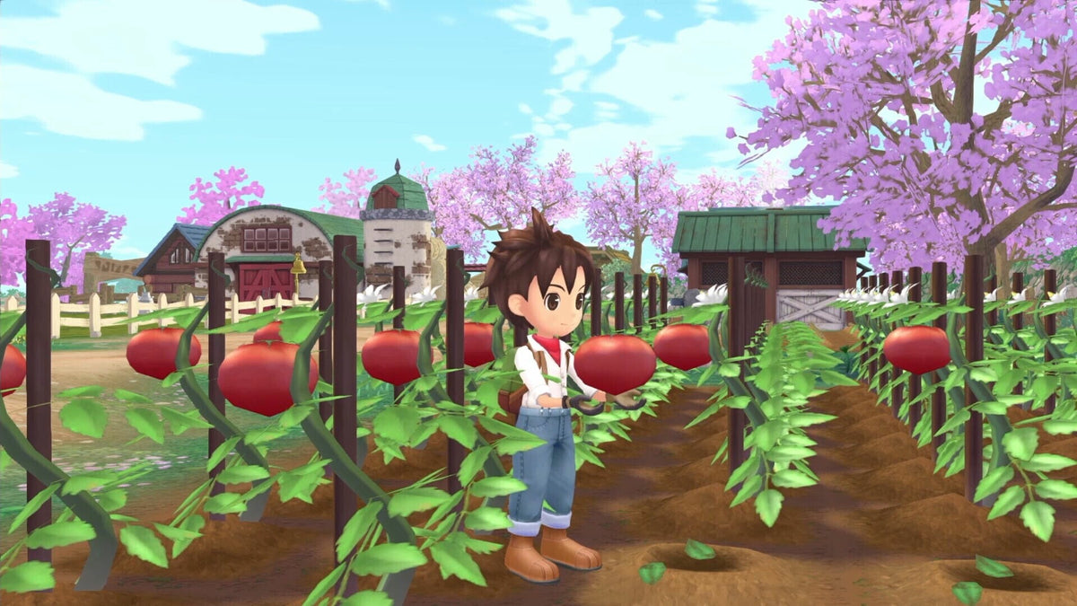 STORY OF SEASONS: A Wonderful Life (PC) - Steam Key - GLOBAL   - Marvelous Europe Ltd. [Email/Instant Delivery]