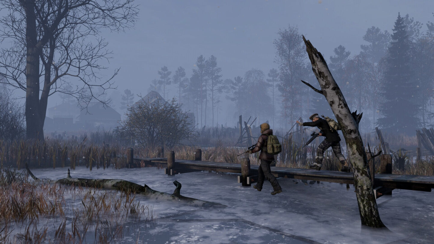 DayZ: Frostline (PC) - Steam Key - NORTH AMERICA  [Email/Instant Delivery]