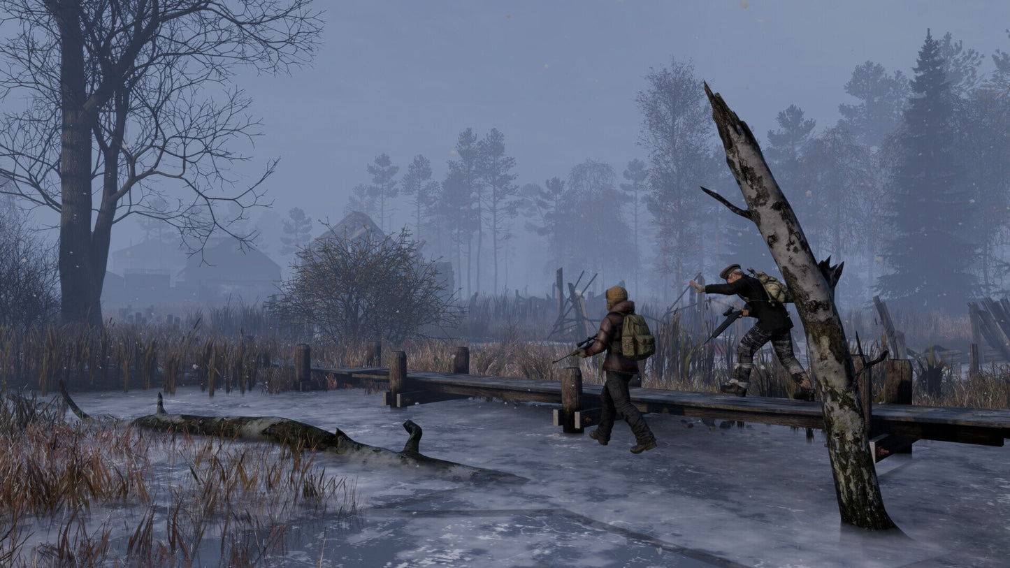 DayZ: Frostline (PC) - Steam Gift - GLOBAL  [Email/Instant Delivery]