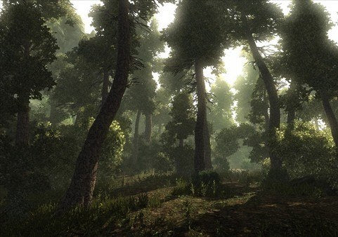 Risen PC Steam CD Key  REGION FREE THQ Nordic - [Email/Instant Delivery]
