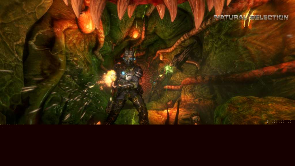 Natural Selection 2 Steam Gift  REGION FREE Unknown Worlds Entertainment - [Email/Instant Delivery]