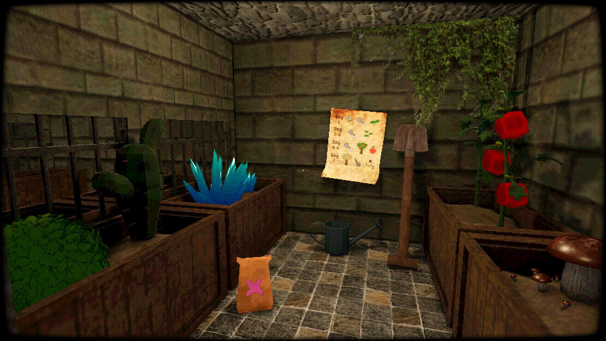 Dungeon Bodega Simulator PC Steam CD Key  REGION FREE Alien Fruit - [Email/Instant Delivery]