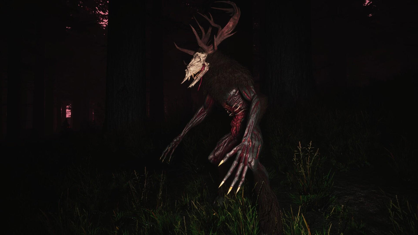 Mycelium: The Silent Contract PC Steam CD Key  REGION FREE Proteus Interactive - [Email/Instant Delivery]
