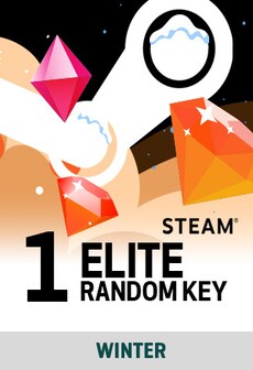 Winter Random 1 Key Elite - Steam Key - GLOBAL  [Email/Instant Delivery]