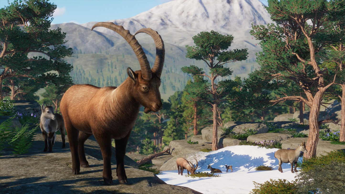 Planet Zoo: Europe Pack (PC) - Steam Key - GLOBAL   - Frontier Developments [Email/Instant Delivery]
