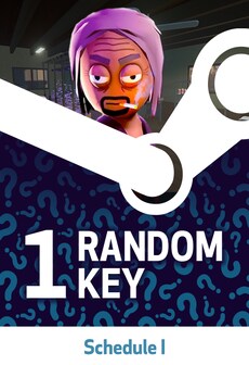 Try to Get Schedule I - Random 1 Key (PC) - Steam Key - GLOBAL  [Email/Instant Delivery]