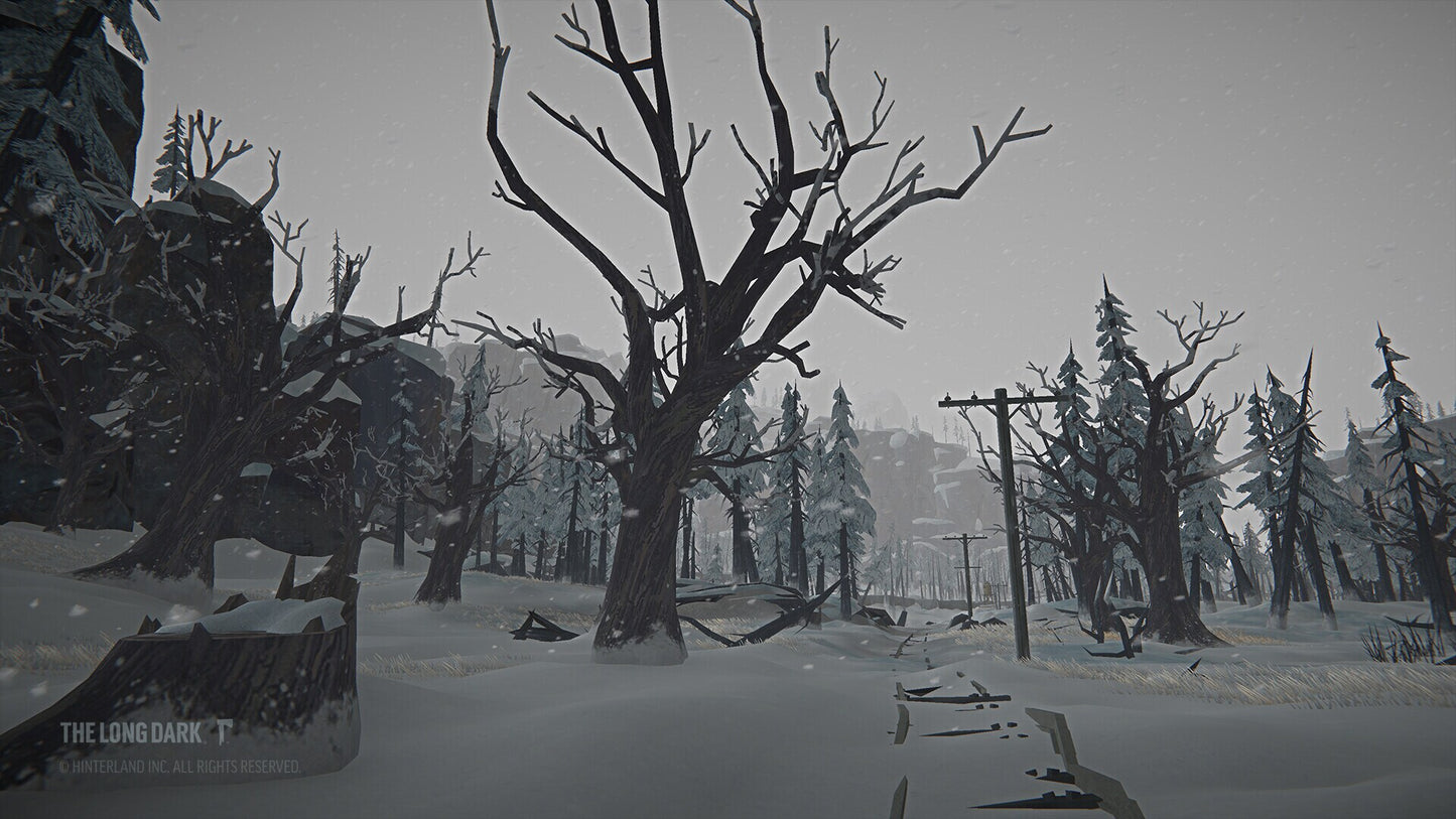 The Long Dark: Tales from the Far Territory (PC) - Steam Gift - GLOBAL   - Hinterland Studio Inc. [Email/Instant Delivery]