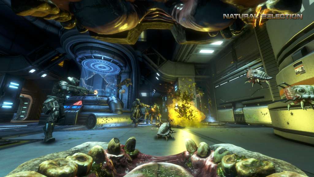 Natural Selection 2 Steam Gift  REGION FREE Unknown Worlds Entertainment - [Email/Instant Delivery]