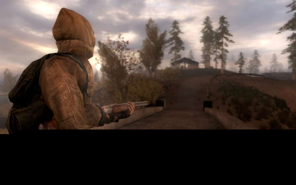 S.T.A.L.K.E.R.: Call of Prypiat PS4 Account PlayStation 4 -  REGION FREE GSC Game World - [Email/Instant Delivery]