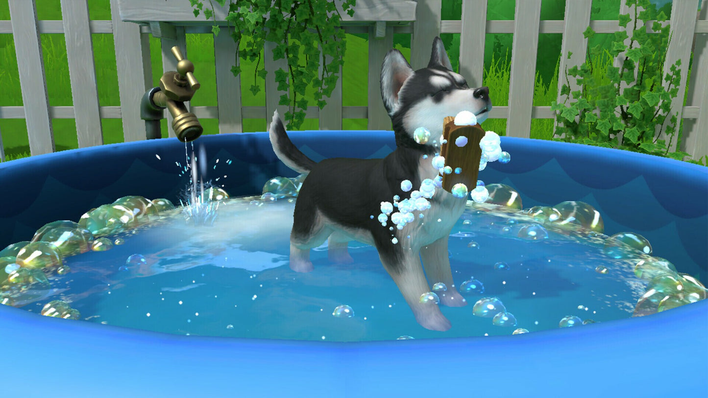 Little Friends: Puppy Island (PC) - Steam Key - GLOBAL   - Fireshine Games [Email/Instant Delivery]