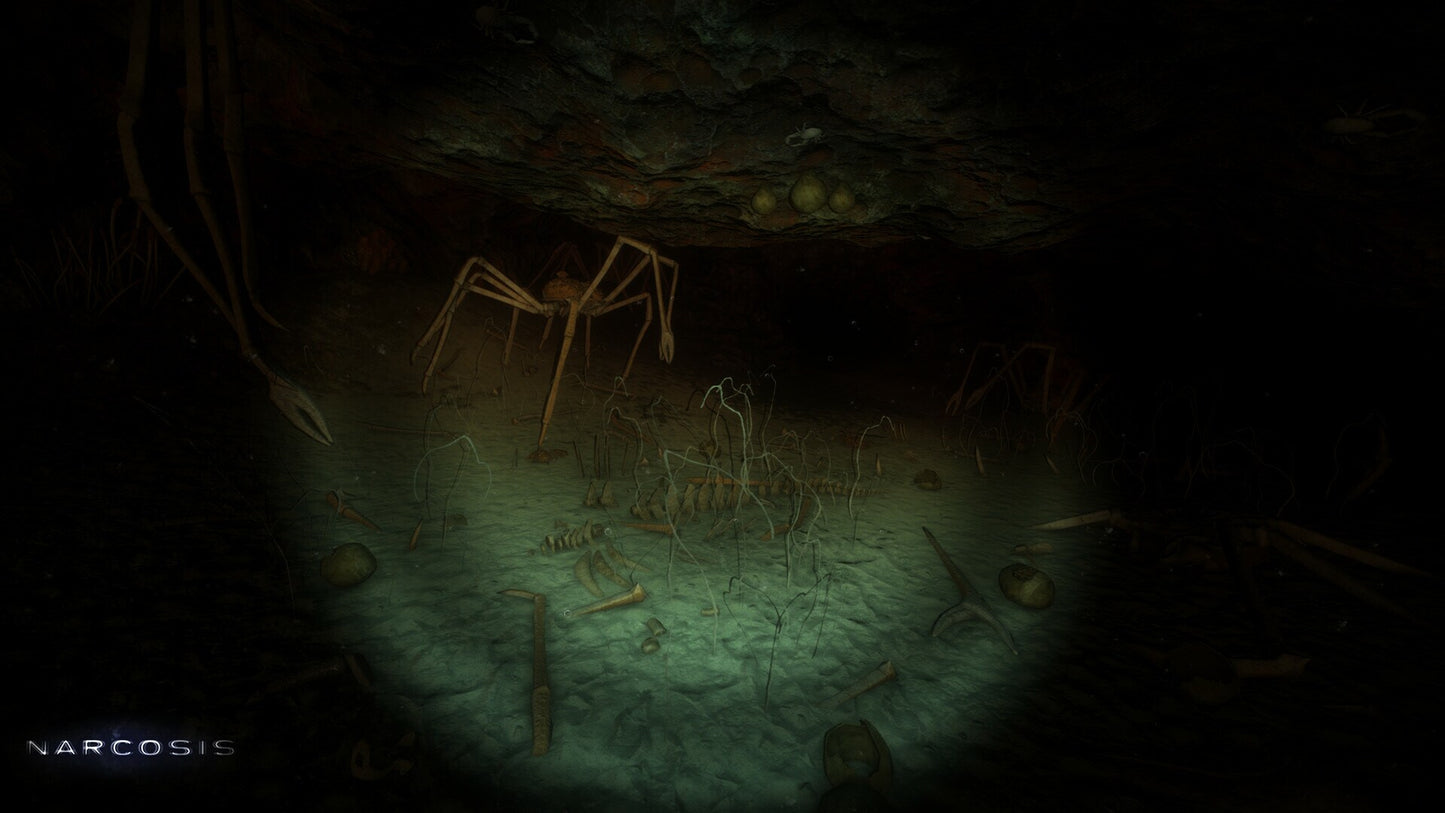 Narcosis (PC) - Steam Key - GLOBAL   - Honor Code, Inc. [Email/Instant Delivery]