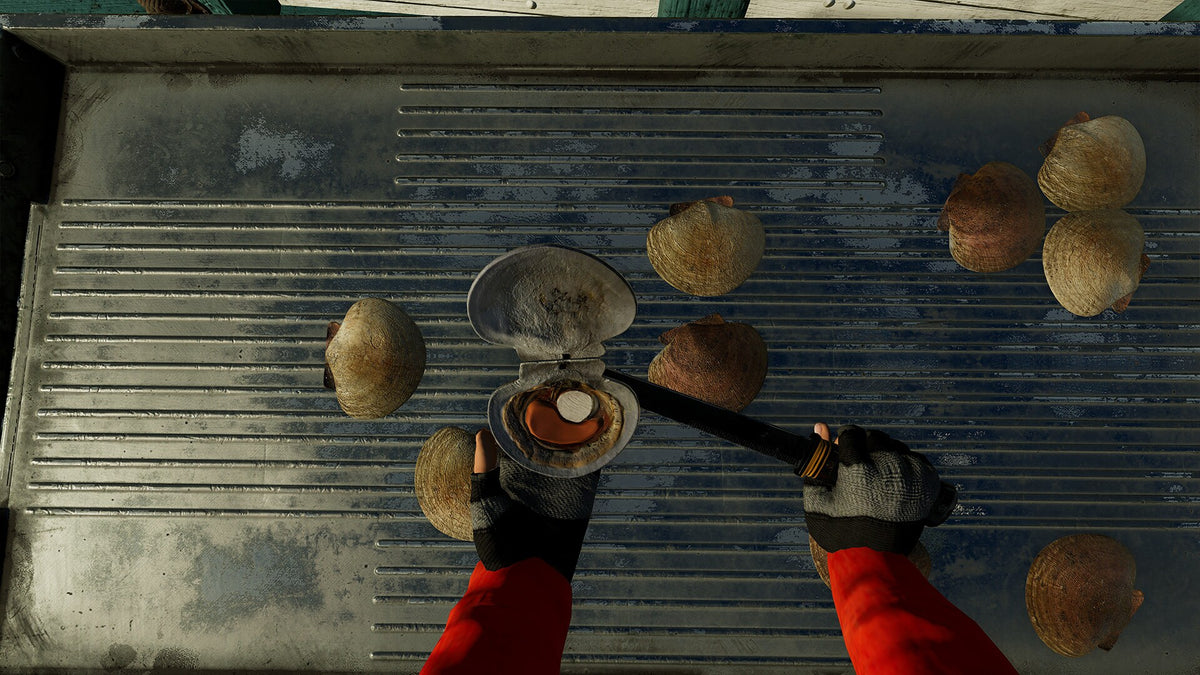 Fishing: North Atlantic - Scallops Expansion (PC) - Steam Key - GLOBAL  [Email/Instant Delivery]