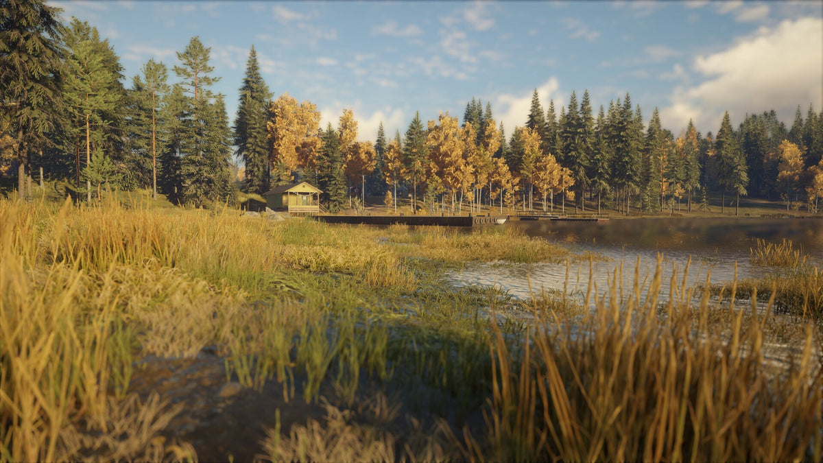 theHunter: Call of the Wild - Revontuli Coast (PC) - Steam Key - GLOBAL   - Expansive Worlds [Email/Instant Delivery]