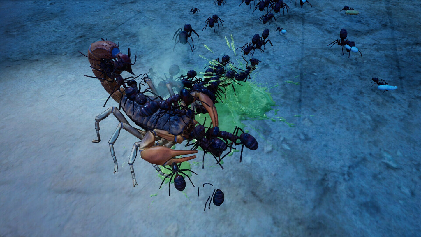 Empires of the Undergrowth - Exploding Ants (PC) - Steam Key - NORTH AMERICA   - Slug Disco [Email/Instant Delivery]