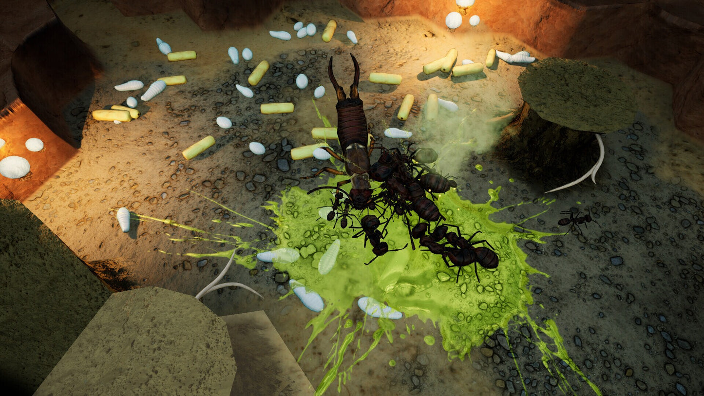 Empires of the Undergrowth - Exploding Ants (PC) - Steam Key - NORTH AMERICA   - Slug Disco [Email/Instant Delivery]