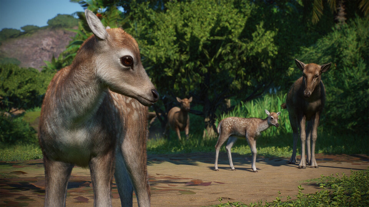 Planet Zoo: Asia Animal Pack (PC) - Steam Key - GLOBAL  [Email/Instant Delivery]