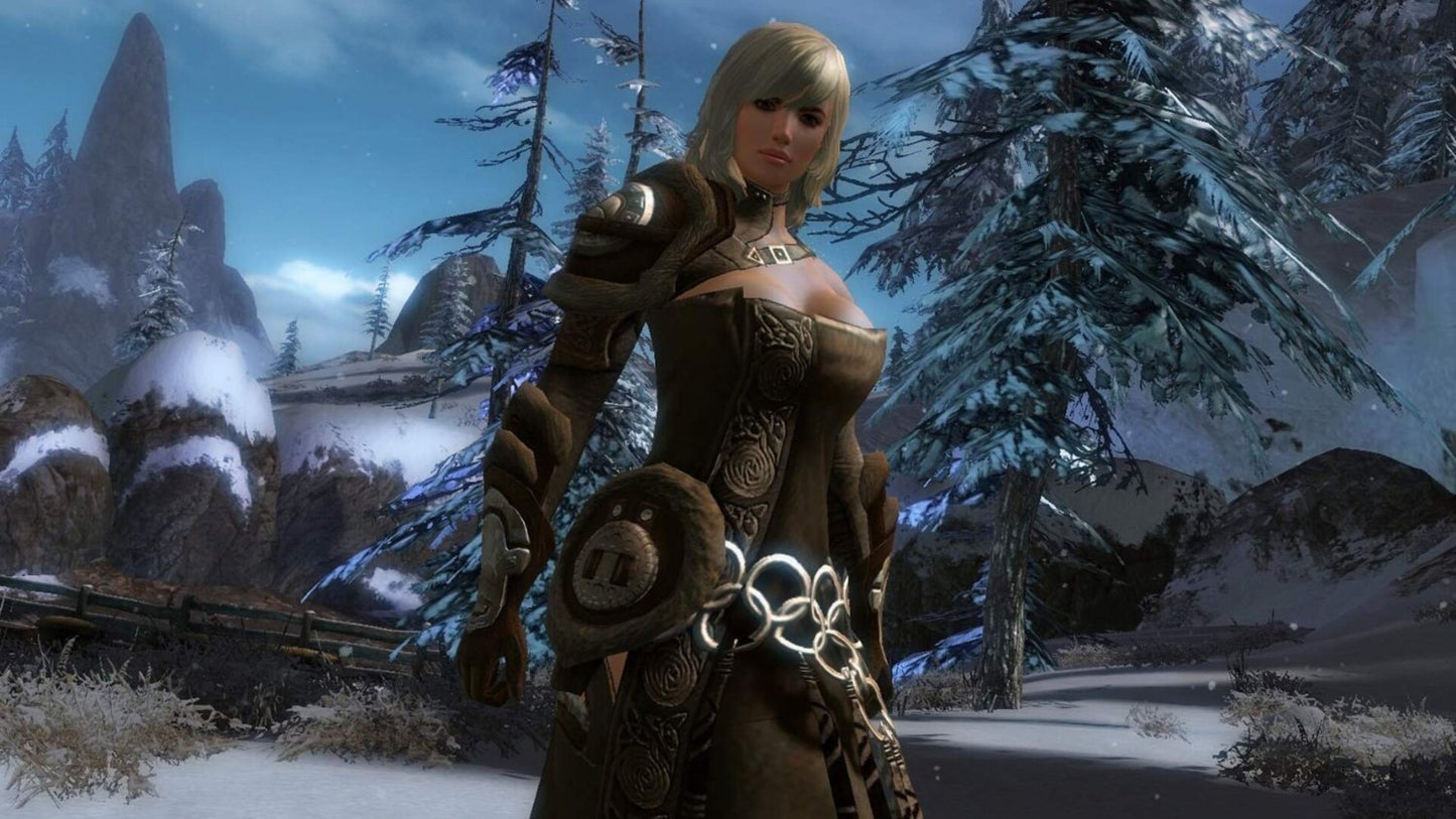 Guild Wars 2 Heroic Edition NCSoft Key GLOBAL   - NCSOFT [Email/Instant Delivery]