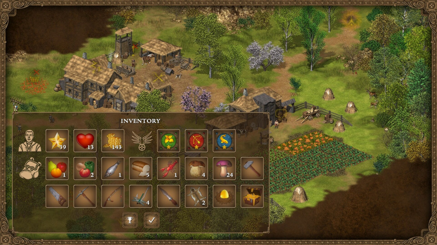 Hero of the Kingdom Steam Key GLOBAL   - Lonely Troops [Email/Instant Delivery]