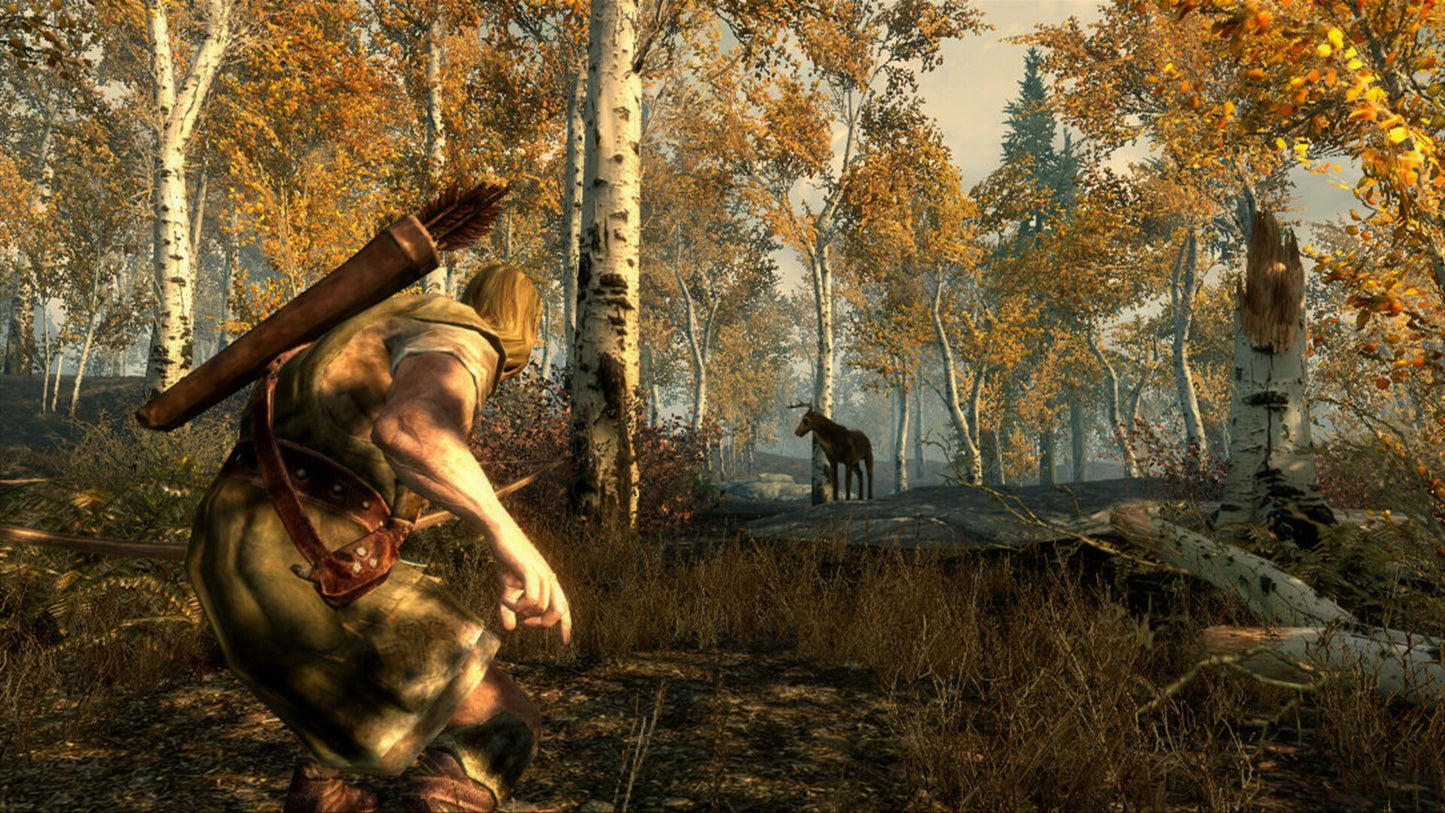 The Elder Scrolls V: Skyrim - Legendary Edition Steam Key GLOBAL   - Bethesda Softworks [Email/Instant Delivery]