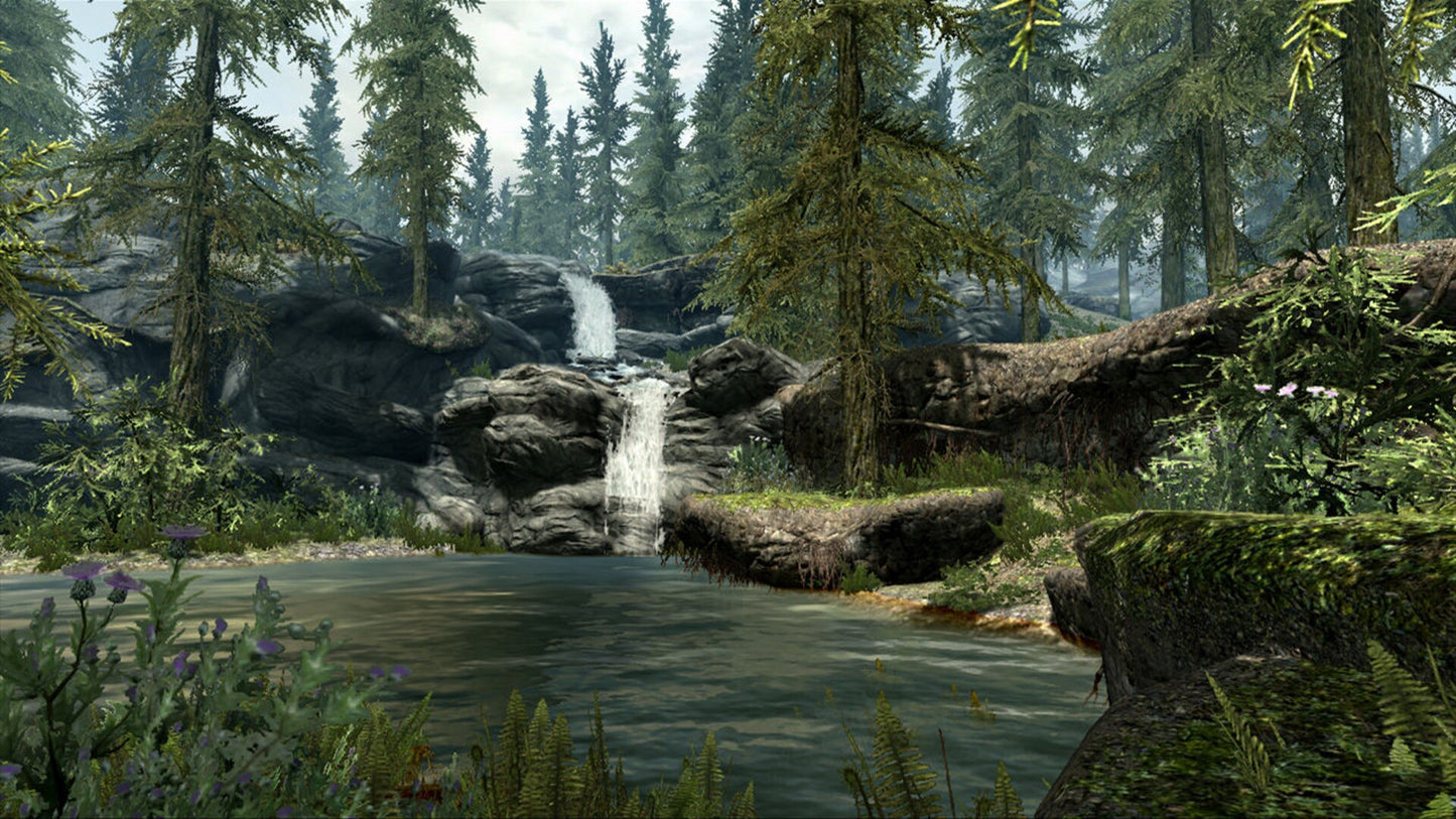 The Elder Scrolls V: Skyrim - Legendary Edition Steam Key GLOBAL   - Bethesda Softworks [Email/Instant Delivery]