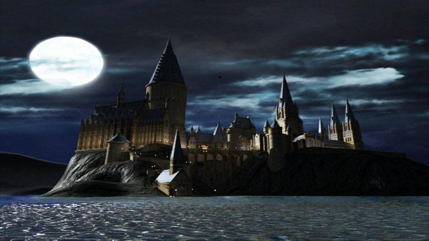 LEGO Harry Potter: Years 1-4 (PC) - Steam Key - GLOBAL   - Warner Bros. Interactive Entertainment [Email/Instant Delivery]