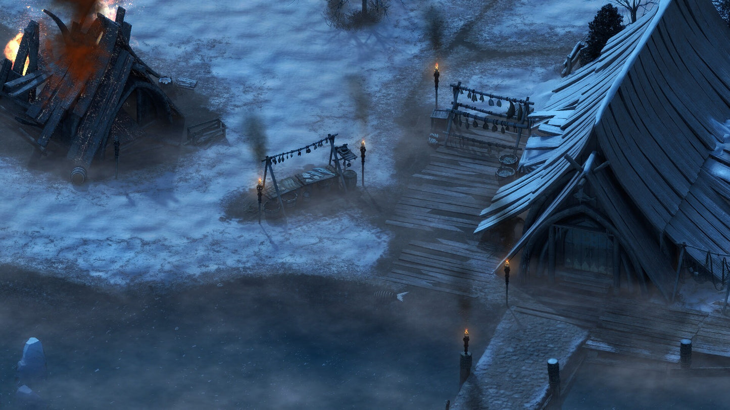 Pillars of Eternity - The White March Expansion Pass Steam Gift GLOBAL   - Paradox Interactive [Email/Instant Delivery]