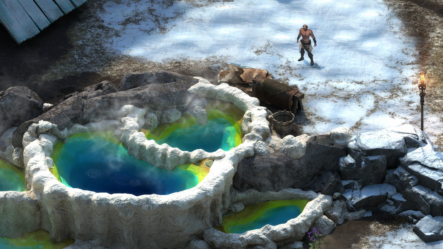 Pillars of Eternity - The White March Expansion Pass Steam Gift GLOBAL   - Paradox Interactive [Email/Instant Delivery]