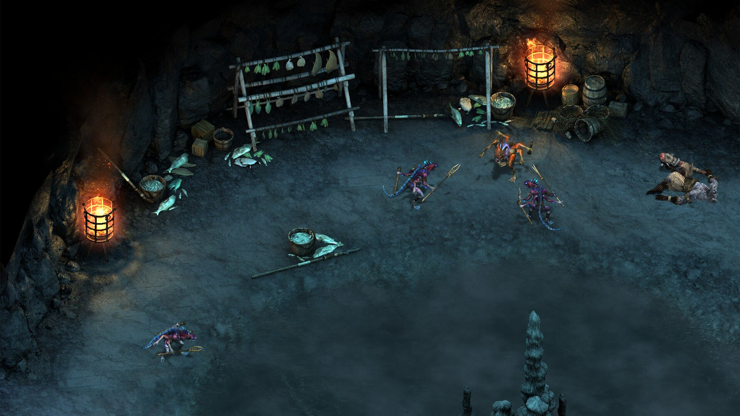 Pillars of Eternity - The White March Expansion Pass Steam Gift GLOBAL   - Paradox Interactive [Email/Instant Delivery]