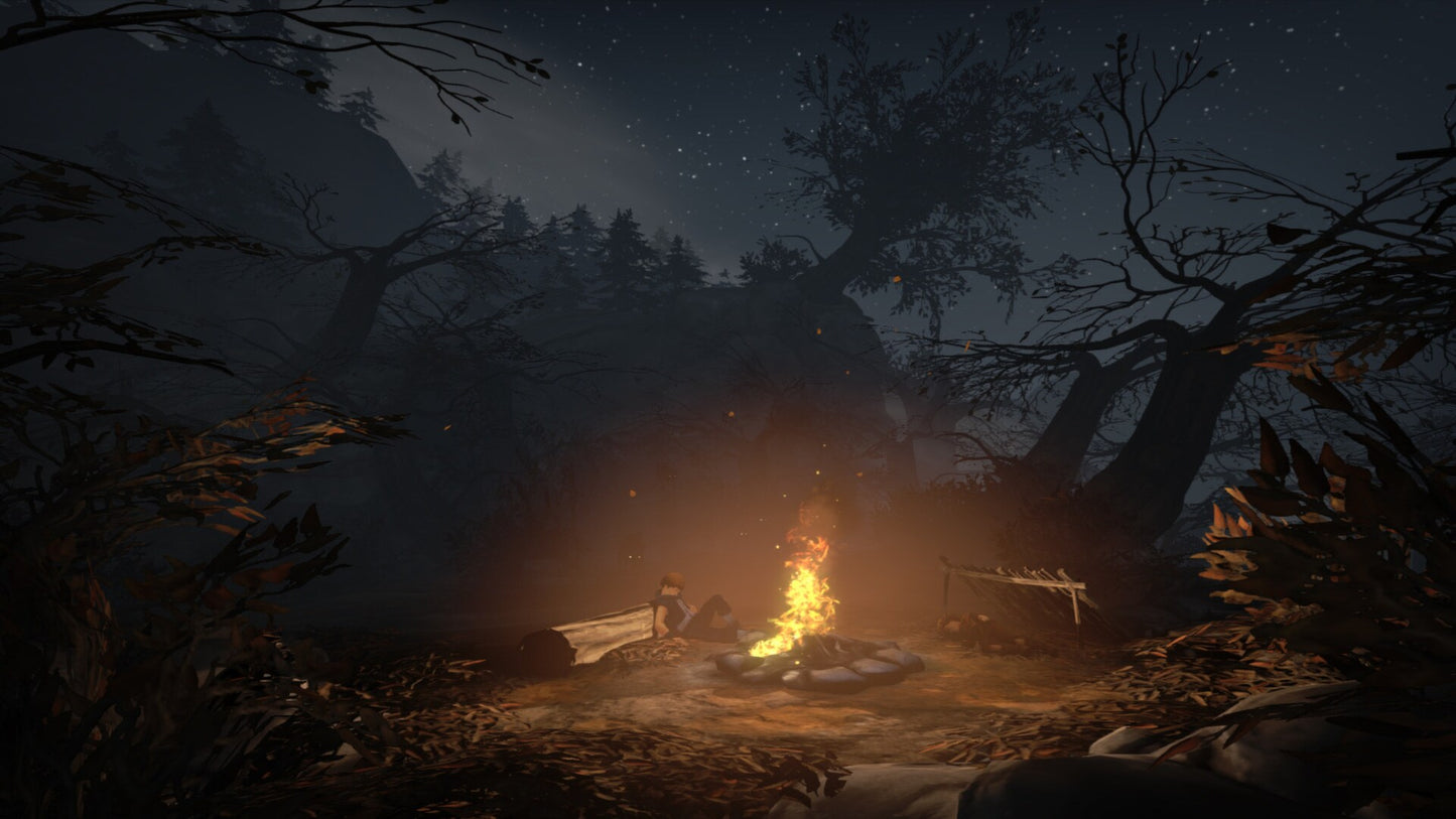 Brothers - A Tale of Two Sons Steam Gift GLOBAL   - 505 Games [Email/Instant Delivery]