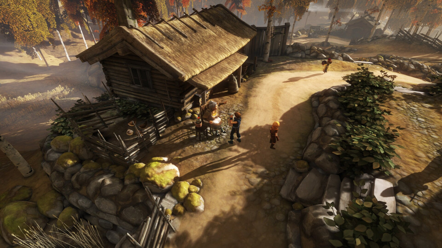 Brothers - A Tale of Two Sons Steam Gift GLOBAL   - 505 Games [Email/Instant Delivery]