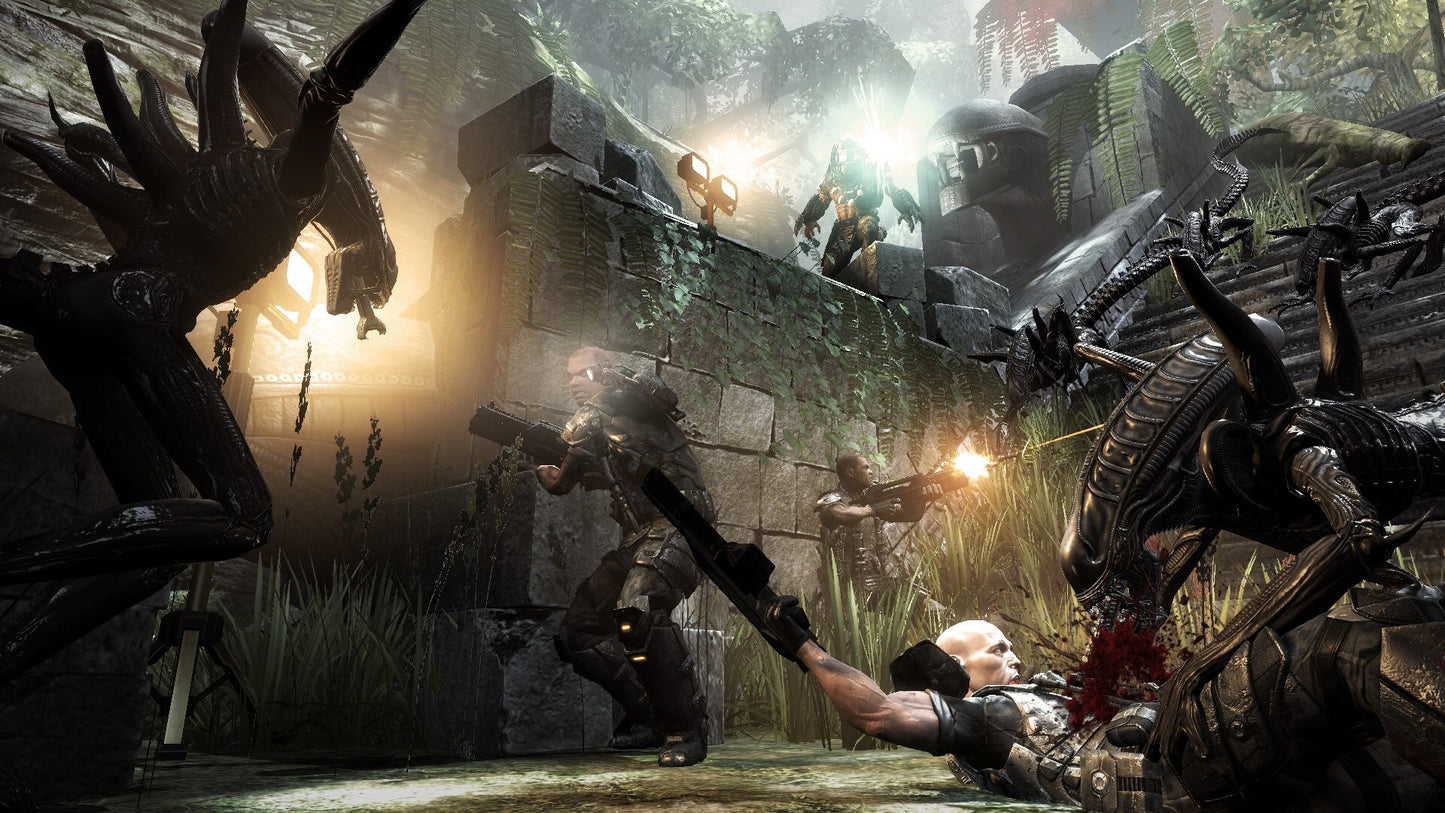 Aliens vs. Predator Collection (PC) - Steam Key - NORTH AMERICA   - SEGA [Email/Instant Delivery]