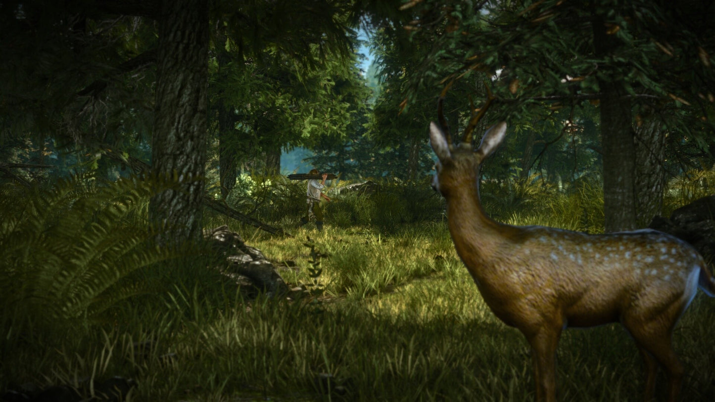The Witcher 2: Assassins of Kings Enhanced Edition (PC) - GOG.COM Key - GLOBAL   - 1C-SoftClub [Email/Instant Delivery]