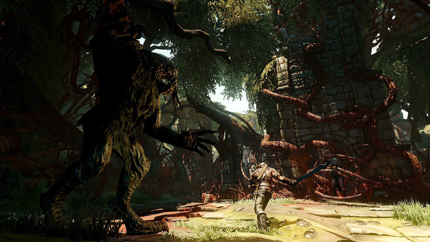 Bound By Flame (PC) - Steam Key - GLOBAL   - Focus Home Interactive [Email/Instant Delivery]