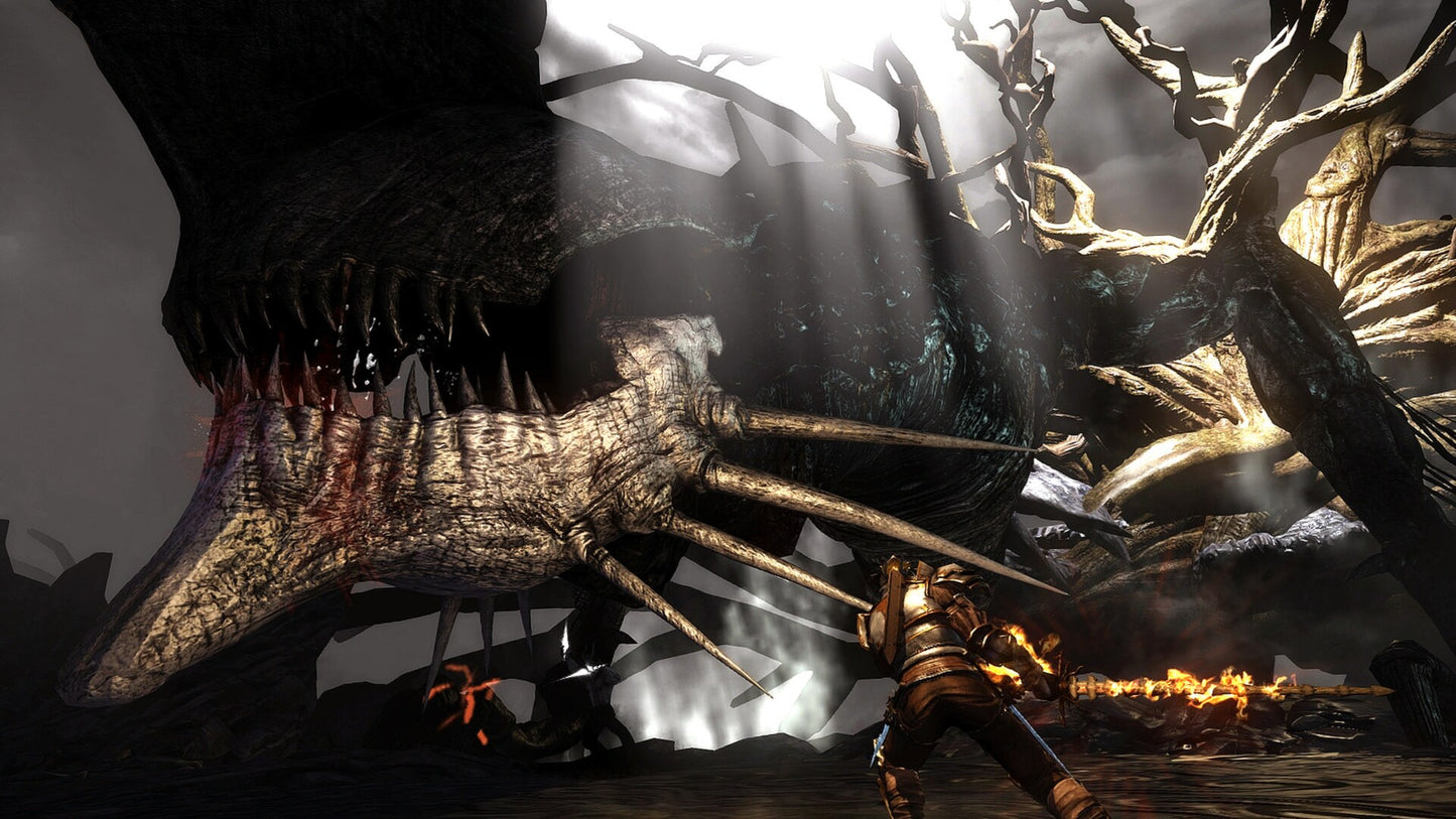 Bound By Flame (PC) - Steam Key - GLOBAL   - Focus Home Interactive [Email/Instant Delivery]