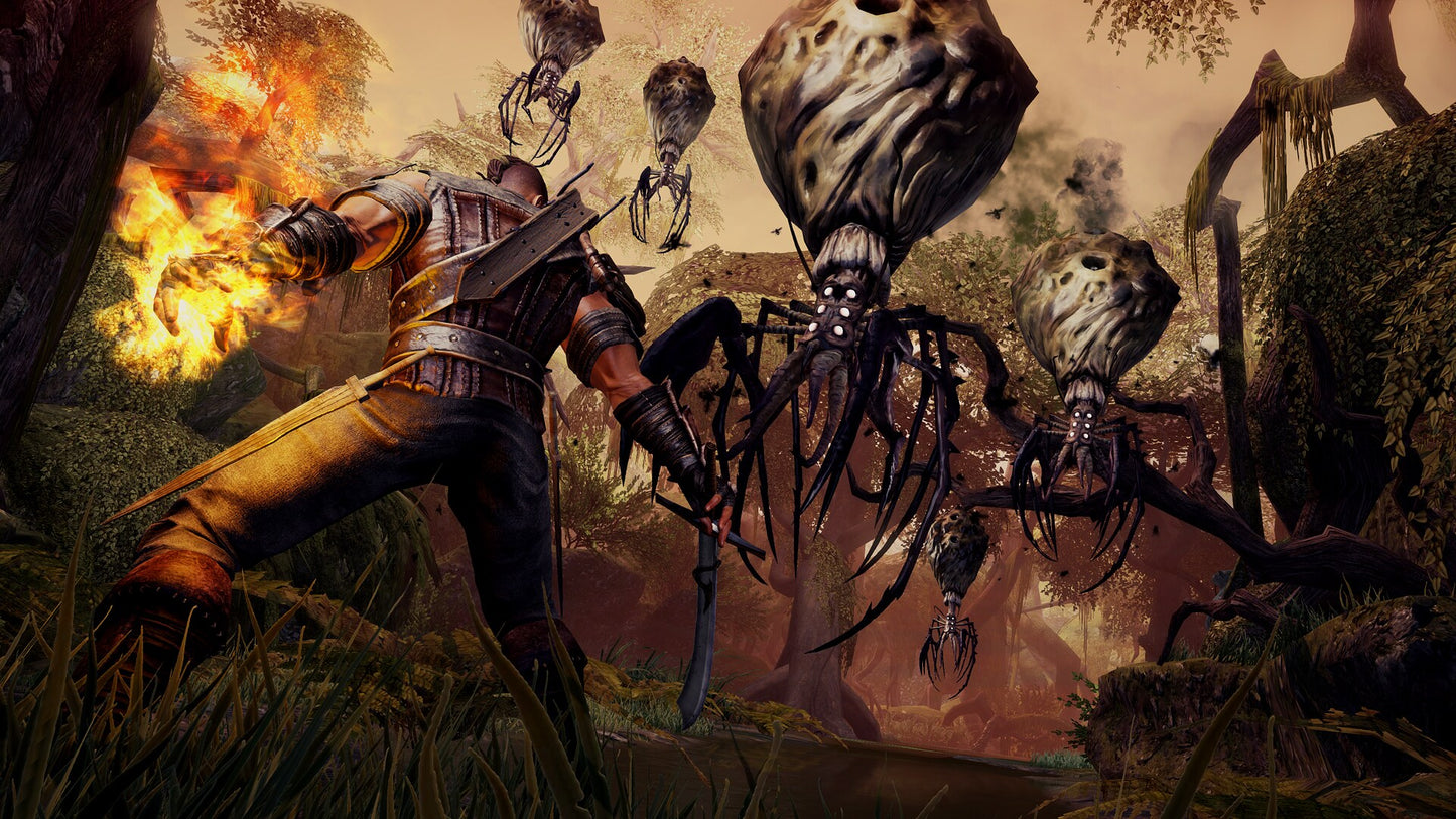 Bound By Flame (PC) - Steam Key - GLOBAL   - Focus Home Interactive [Email/Instant Delivery]