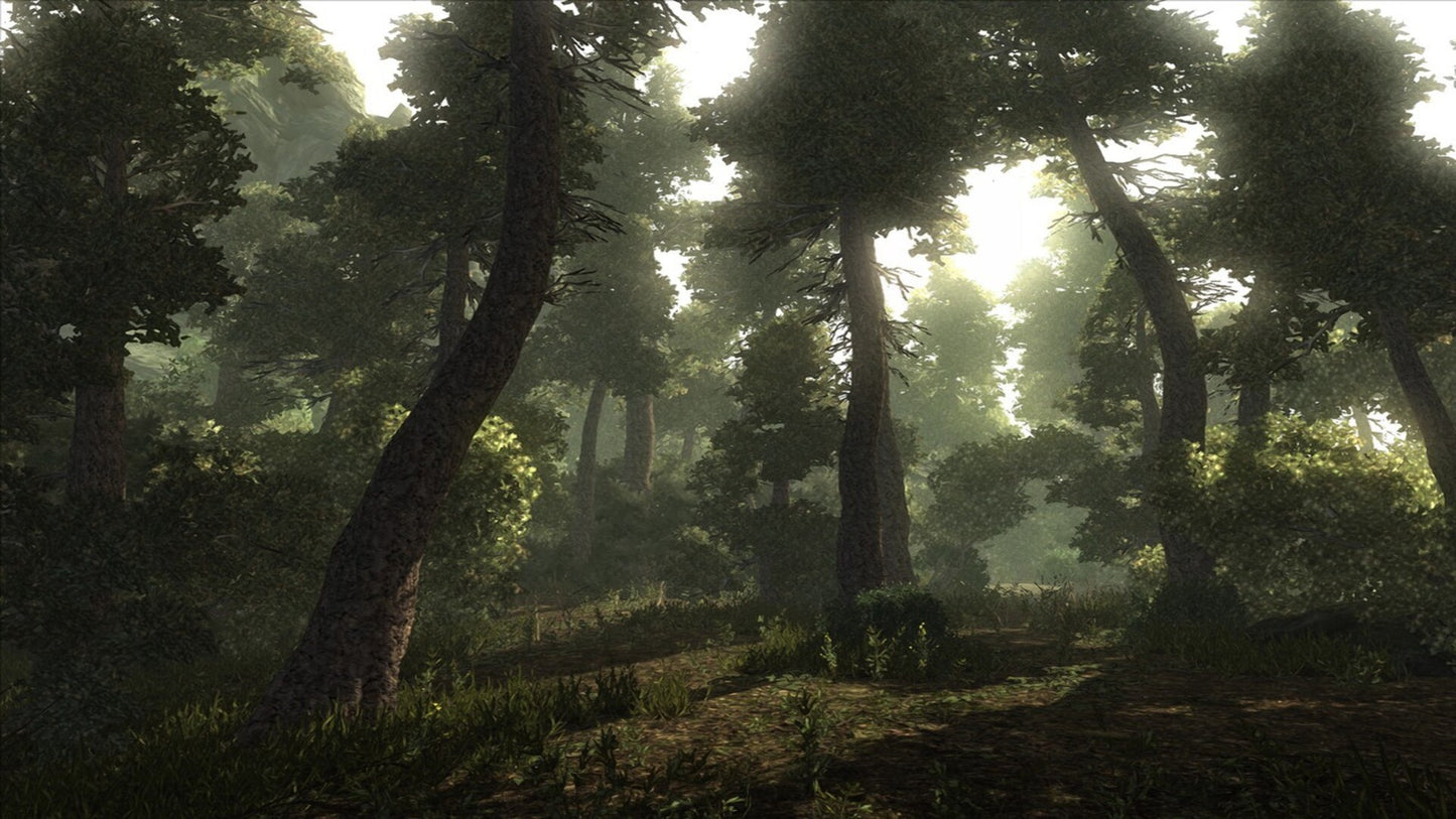 Risen (PC) - Steam Key - GLOBAL   - Deep Silver [Email/Instant Delivery]