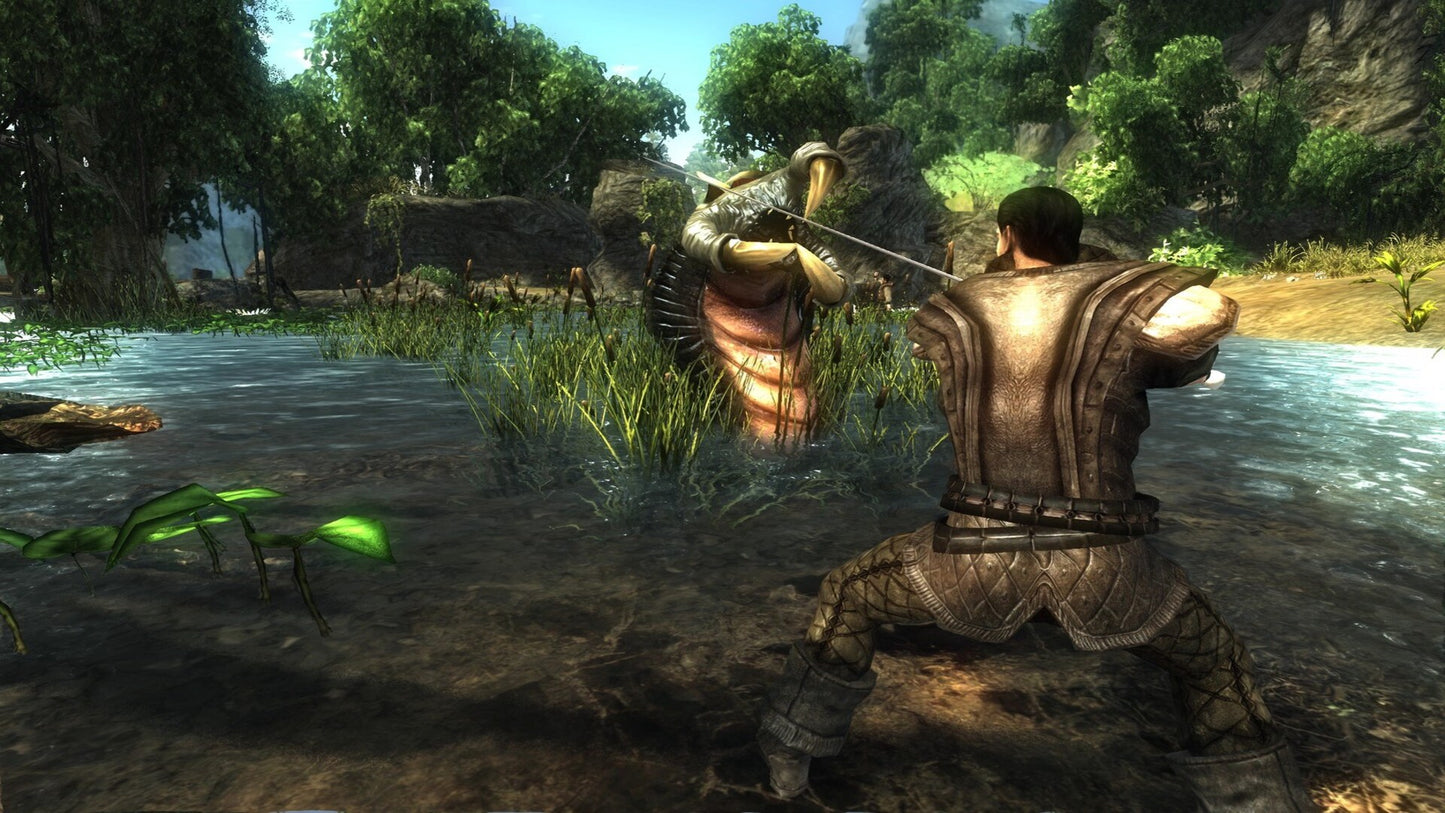 Risen (PC) - Steam Key - GLOBAL   - Deep Silver [Email/Instant Delivery]
