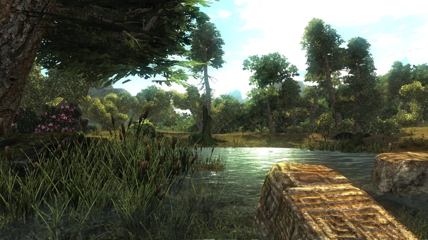 Risen (PC) - Steam Key - GLOBAL   - Deep Silver [Email/Instant Delivery]