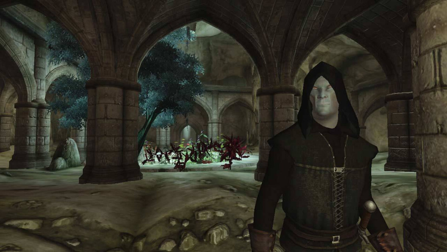 The Elder Scrolls IV: Oblivion GOTY (PC) - Steam Key - GLOBAL   - Bethesda Softworks [Email/Instant Delivery]