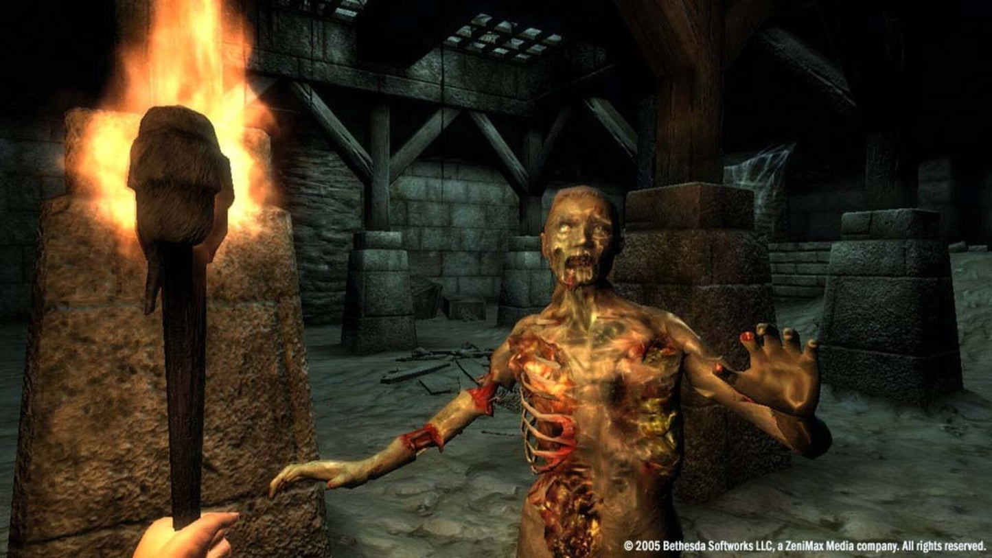 The Elder Scrolls IV: Oblivion GOTY (PC) - Steam Key - GLOBAL   - Bethesda Softworks [Email/Instant Delivery]