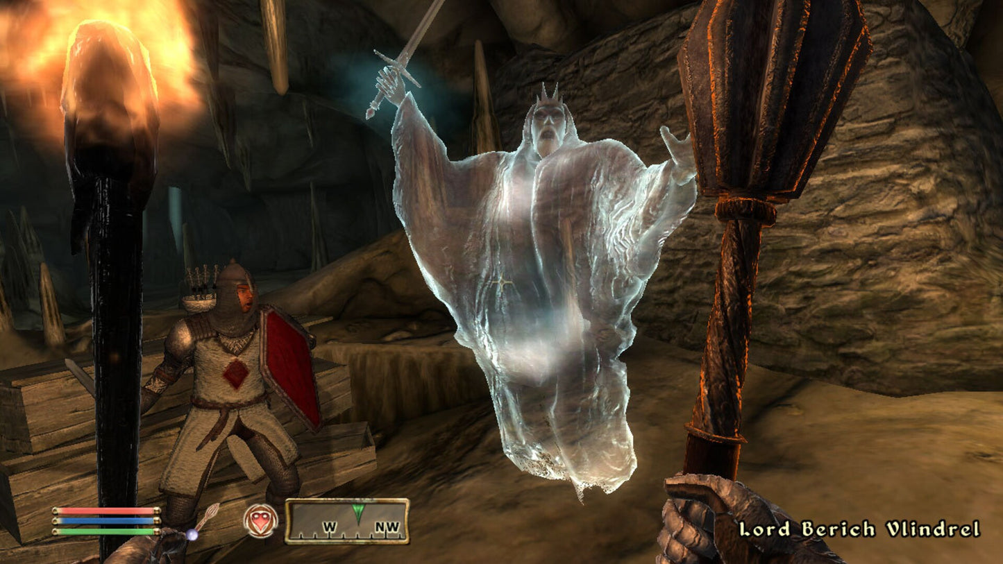 The Elder Scrolls IV: Oblivion GOTY (PC) - Steam Key - GLOBAL   - Bethesda Softworks [Email/Instant Delivery]