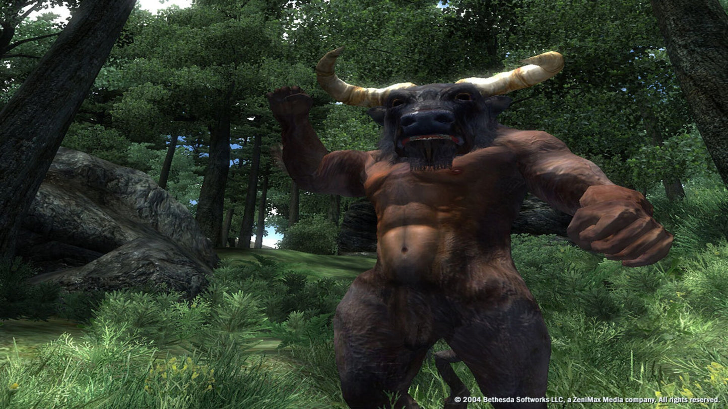 The Elder Scrolls IV: Oblivion GOTY (PC) - Steam Key - GLOBAL   - Bethesda Softworks [Email/Instant Delivery]