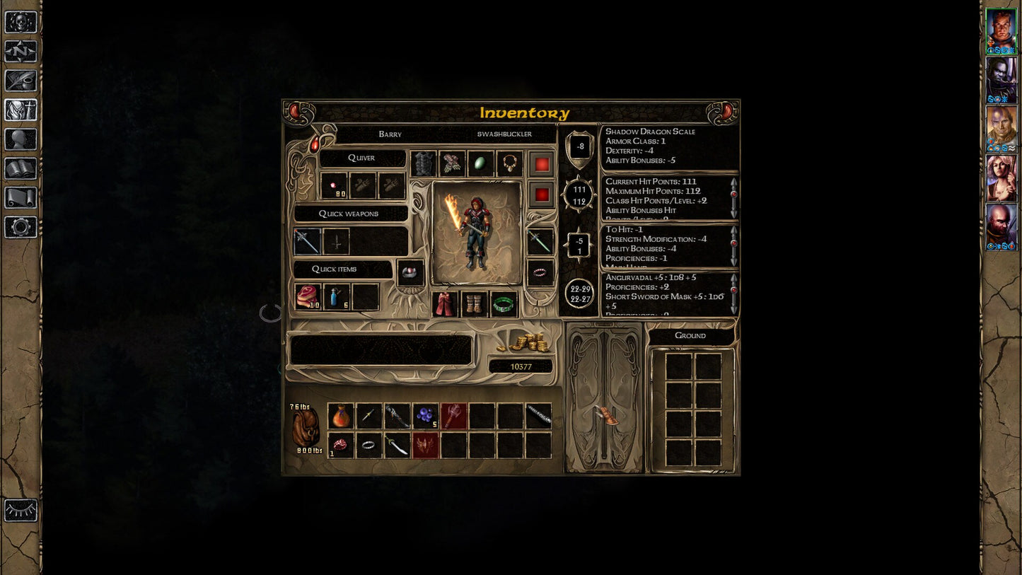 Baldur's Gate II: Enhanced Edition (PC) - Steam Key - GLOBAL   - Beamdog [Email/Instant Delivery]