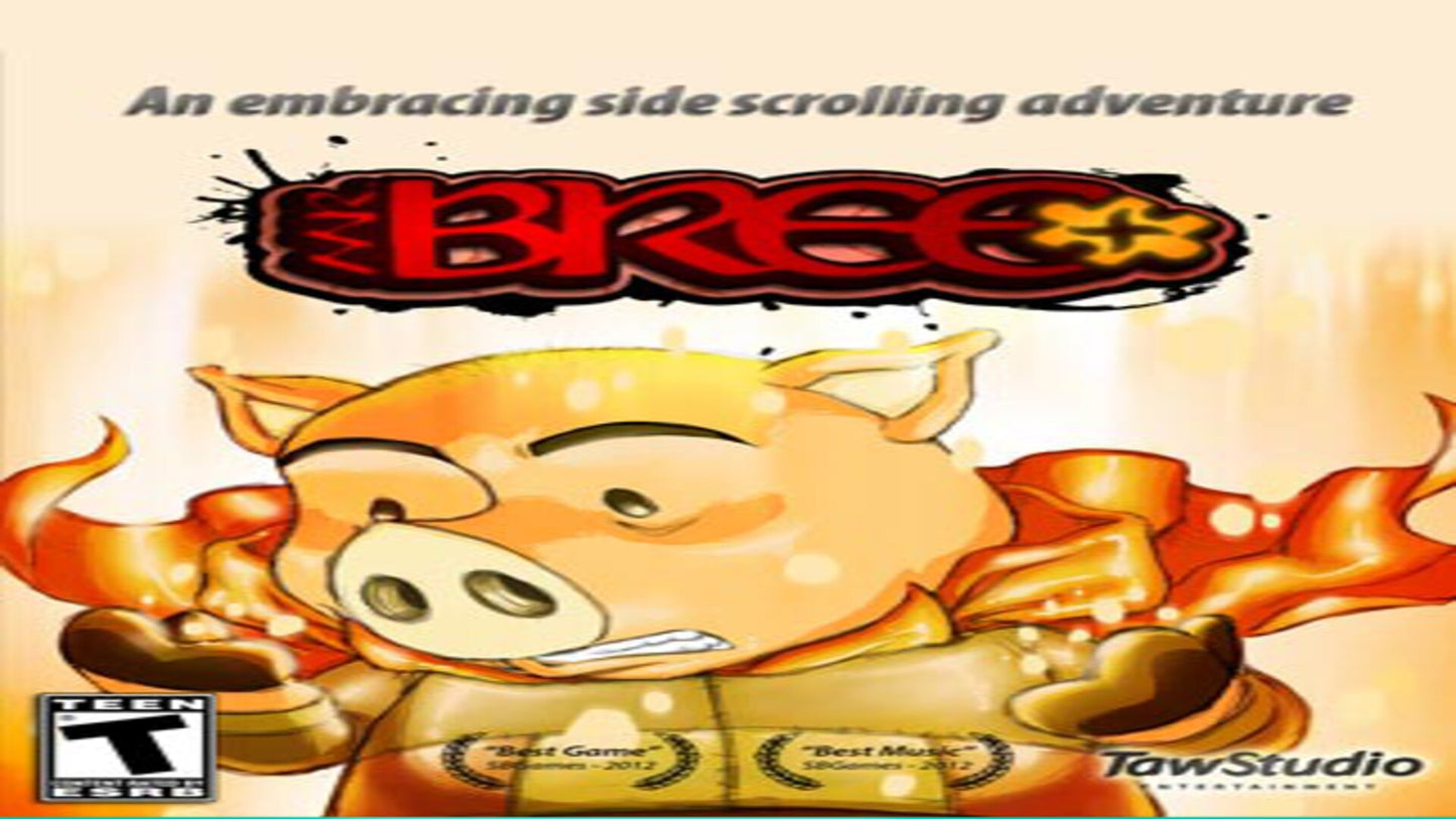 Mr. Bree Steam Key GLOBAL   - TawStudio Entertainment [Email/Instant Delivery]