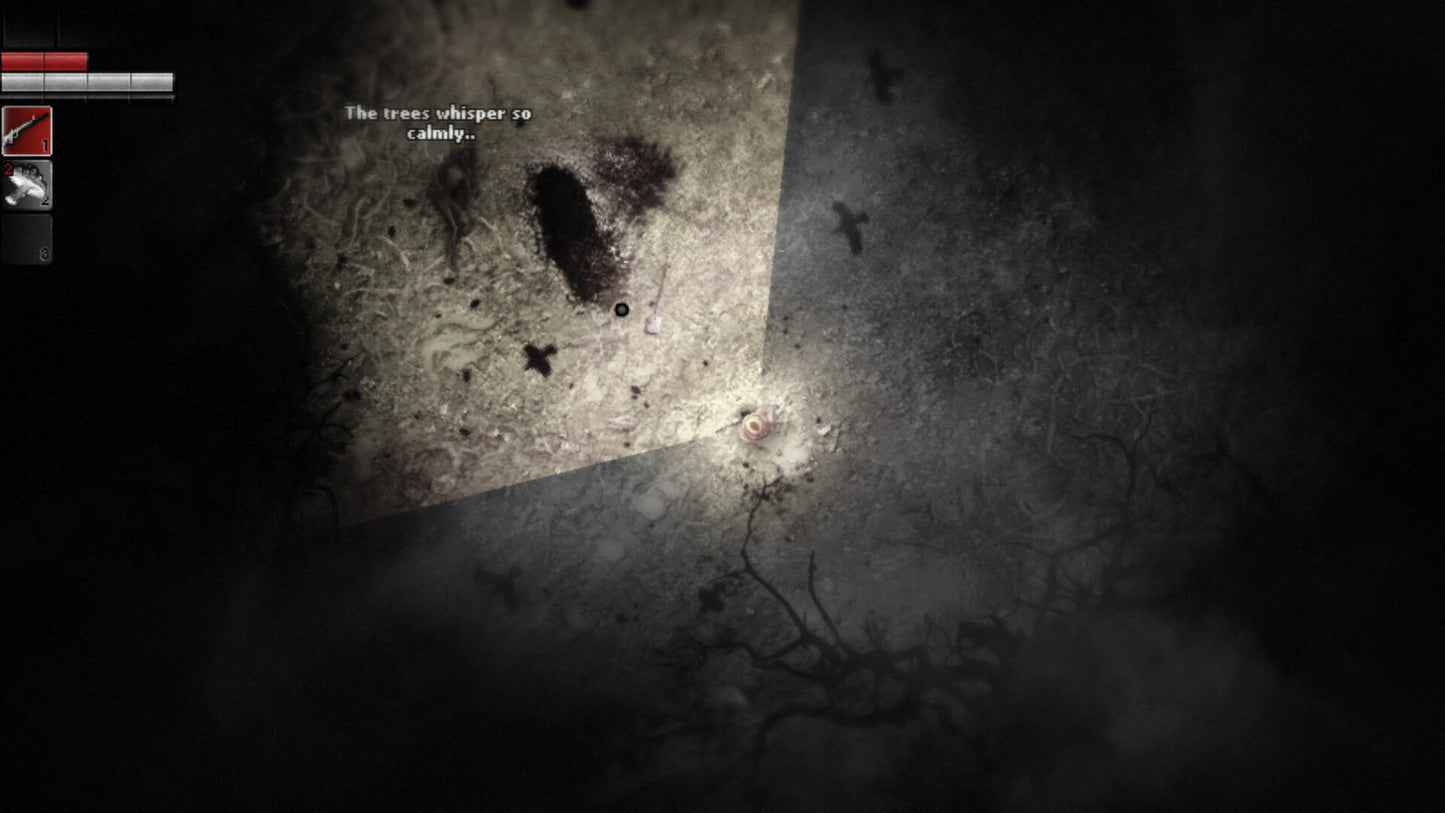 Darkwood (PC) - Steam Key - GLOBAL   - Acid Wizard Studio [Email/Instant Delivery]