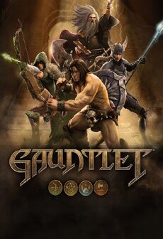 Gauntlet Slayer Edition (PC) - Steam Key - GLOBAL   - WB Games [Email/Instant Delivery]