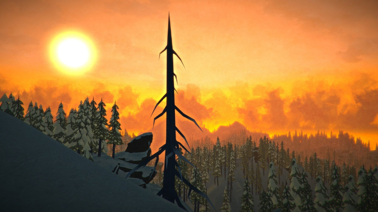 The Long Dark (PC) - Steam Key - GLOBAL   - Hinterland Studio Inc. [Email/Instant Delivery]