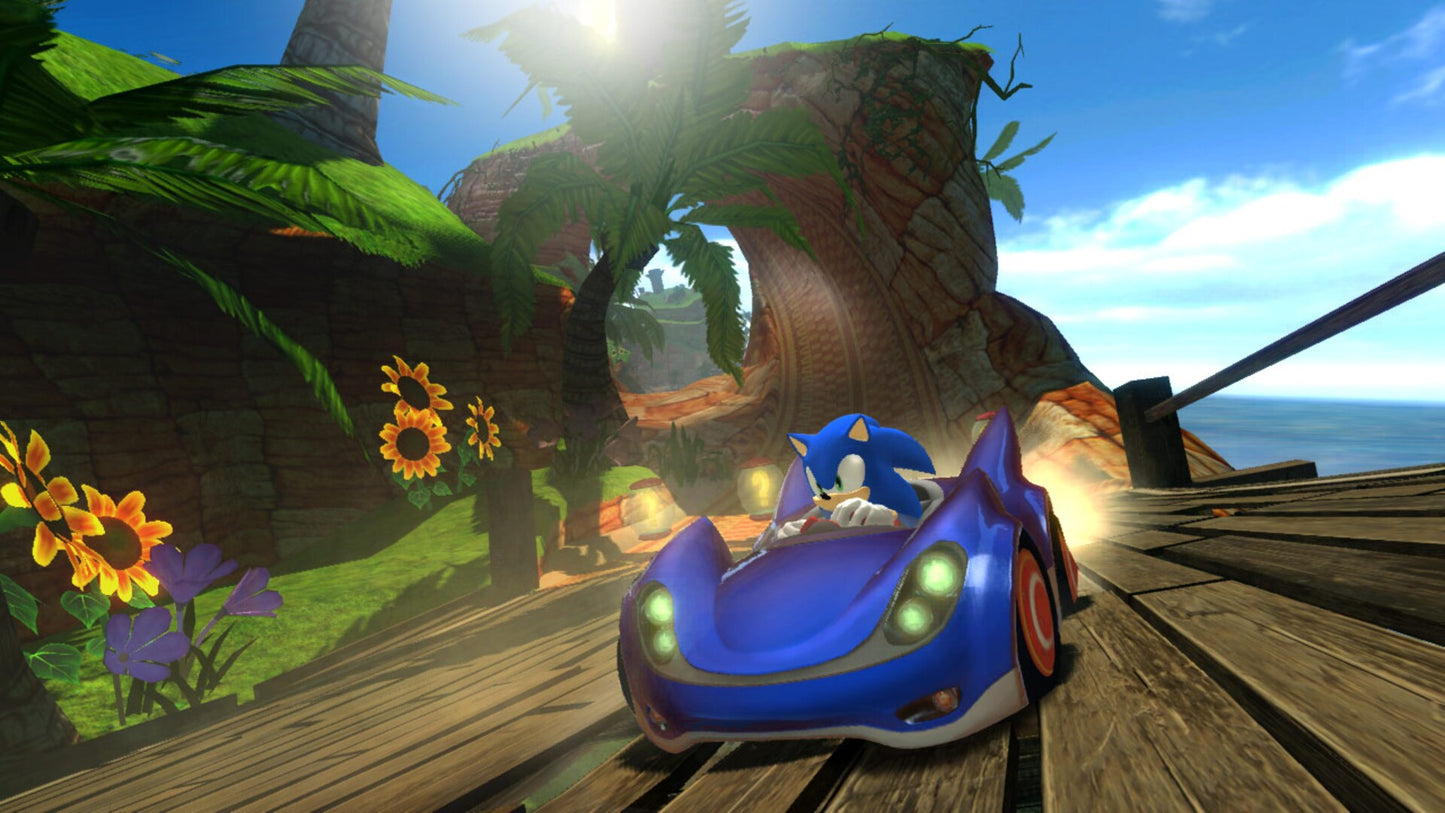 Sonic & SEGA All-Stars Racing (PC) - Steam Key - GLOBAL  [Email/Instant Delivery]